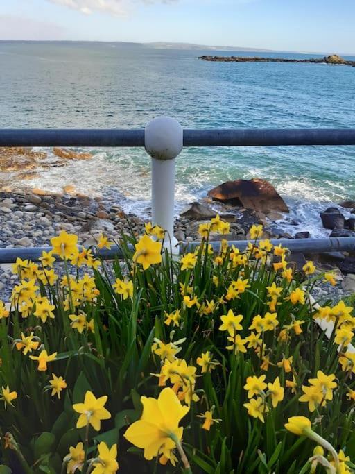 Corvus - Beautiful Cottage Half A Mile From Mousehole Penzance Exterior photo